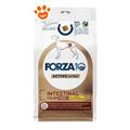 FORZA 10 INTESTINAL COLON FASE II AGNELLO/SORGO KG 1,5