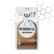 FORZA 10 INTESTINAL COLON FASE II AGNELLO/SORGO KG 10