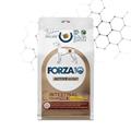 FORZA 10 INTESTINAL COLON FASE II AGNELLO/SORGO KG 10