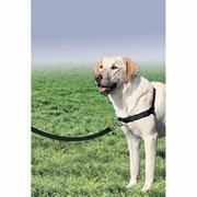 TX EASY WALK PROFESSIONAL TG S/M