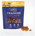 FISH4DOGS TRAINING PUPPY BOCCONCINI SALMONE GR 80
