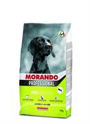 MORANDO PROF DOG AGNELLO KG 4