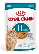 AGEING 11+ CAT JELLY ROYAL CANIN BUSTE 12 X GR 85