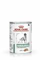 DIABETIC DOG ROYAL CANIN GR 410