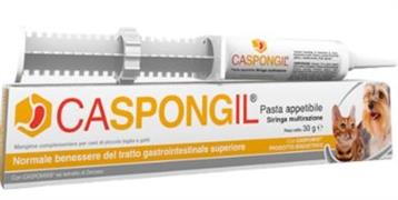 CASPONGIL PASTA GR 30