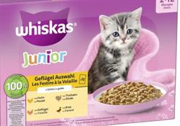 WHISKAS CORE SELEZIONE DELICATA JUNIOR 4 X GR 85