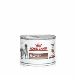 RECOVERY DOG/CAT ROYAL CANIN GR 195