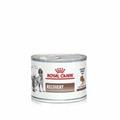 RECOVERY DOG/CAT ROYAL CANIN GR 195