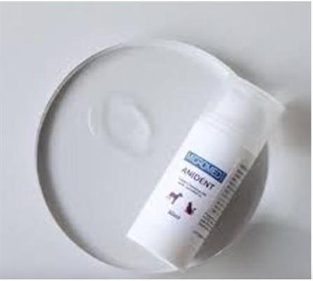 MICROMED ANIDENT GEL DENTALE ML 30