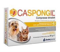CASPONGIL 30 COMPRESSE DIVISIBILI