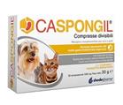 CASPONGIL 30 COMPRESSE DIVISIBILI