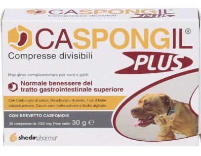 CASPONGIL PLUS 30 CPR
