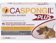 CASPONGIL PLUS 30 CPR