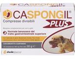 CASPONGIL PLUS 30 CPR