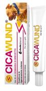 CICAWUND GEL ML 30