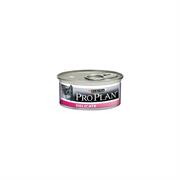 PRO PLAN CAT DELICATE MOUSSE POLLO GR 85