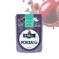 FORZA 10 CAT KITTEN 2-12 CONIGLIO BUSTE 24 X GR 80