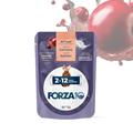 FORZA 10 CAT KITTEN 2-12 SALMONE BUSTE 24 X GR 80