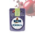 FORZA 10 CAT 1-6 QUAGLIA BUSTE 24 X GR 80