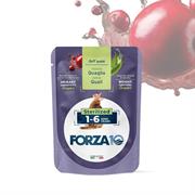 FORZA 10 CAT 1-6 STERILIZED QUAGLIA BUSTE 24 X GR 80