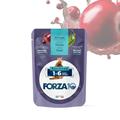 FORZA 10 CAT 1-6 STERILIZED TONNO BUSTE 24 X GR 80