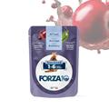 FORZA 10 CAT 1-6 STERILIZED ACCIUGHE BUSTE 24 X GR 80