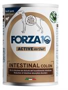 FORZA 10 INTESTINAL COLON AGNELLO GR 390