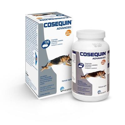 COSEQUIN ADVANCED CANE 120