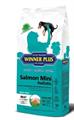 WINNER PLUS HOLISTIC MINI SALMONE GRAIN FREE KG 2