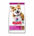 HILL'S DOG SMALL/MINIATURE AGNELLO/RISO GR 300