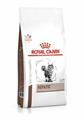 HEPATIC CAT ROYAL CANIN KG 2