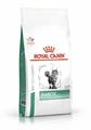 DIABETIC CAT ROYAL CANIN GR 400