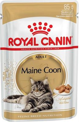 MAINE COON ROYAL CANIN BUSTE 12 X GR 85