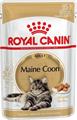 MAINE COON ROYAL CANIN BUSTE 12 X GR 85