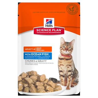 HILL'S CAT BUSTE MANTENIMENTO PESCE OCEANO 12 X GR 85