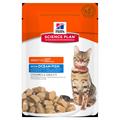 HILL'S CAT BUSTE MANTENIMENTO PESCE OCEANO 12 X GR 85