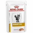 URINARY CAT PATE' ROYAL CANIN BUSTE 12 X GR 85