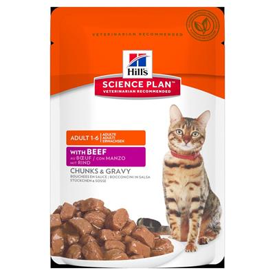 HILL'S CAT BUSTE MANTENIMENTO MANZO 12 X GR 85