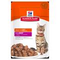 HILL'S CAT BUSTE MANTENIMENTO MANZO 12 X GR 85