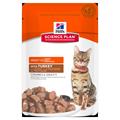 HILL'S CAT BUSTE MANTENIMENTO TACCHINO 12 X GR 85