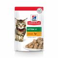 HILL'S CAT BUSTE KITTEN POLLO 12 X GR 85