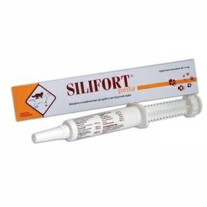 SILIFORT PASTA GR 30