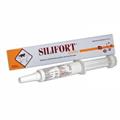 SILIFORT PASTA GR 30