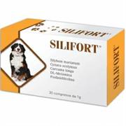 SILIFORT 30 COMPRESSE